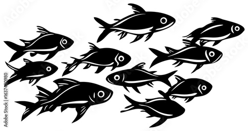 Silhouette of a Tetra Fish Group Moving in Synchronized Harmony
