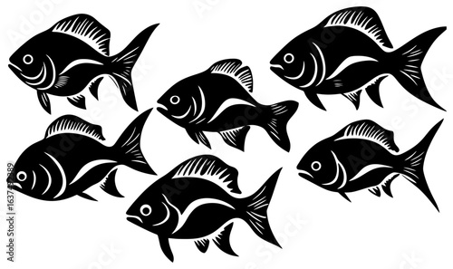 Fotografija Silhouette of a Piranha Group Hunting with Ruthless Precision