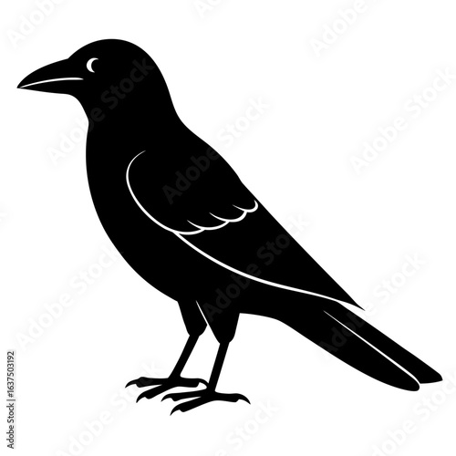 Black silhouette of a jackdaw bird in a clean icon style