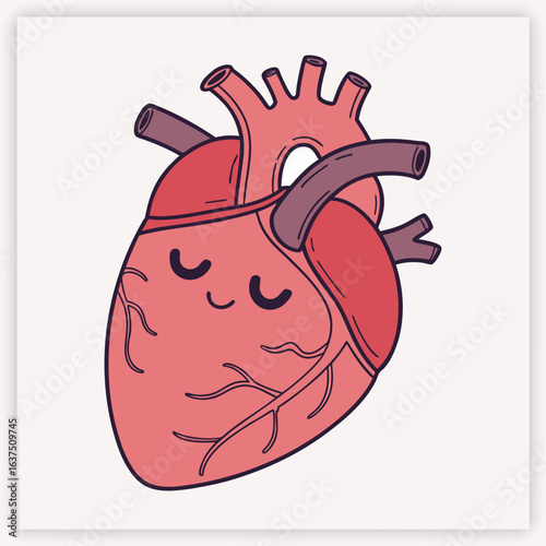Anatomical human heart vector illustration. Detailed medical diagram of the cardiovascular system for cardiology and science. Biology organ with aorta, veins, and arteries.