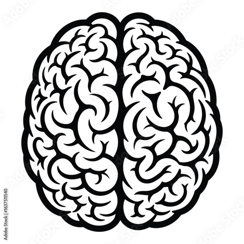 Art of human brain isolated on white background, a symbol of intelligence, thought, and knowledge, representing the power of the human mind