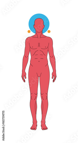 Understanding the human form and its energetic aura a visual exploration of body systems and well being