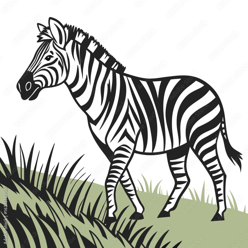 Obraz premium A Zebra Standing in a Field of Grass