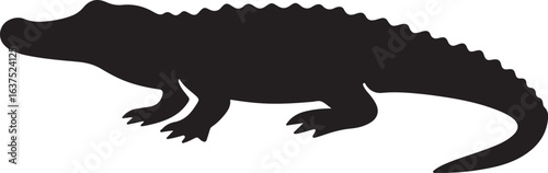 USA Alligator vector design