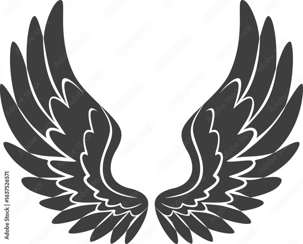 Fototapeta premium vector illustration of black wings