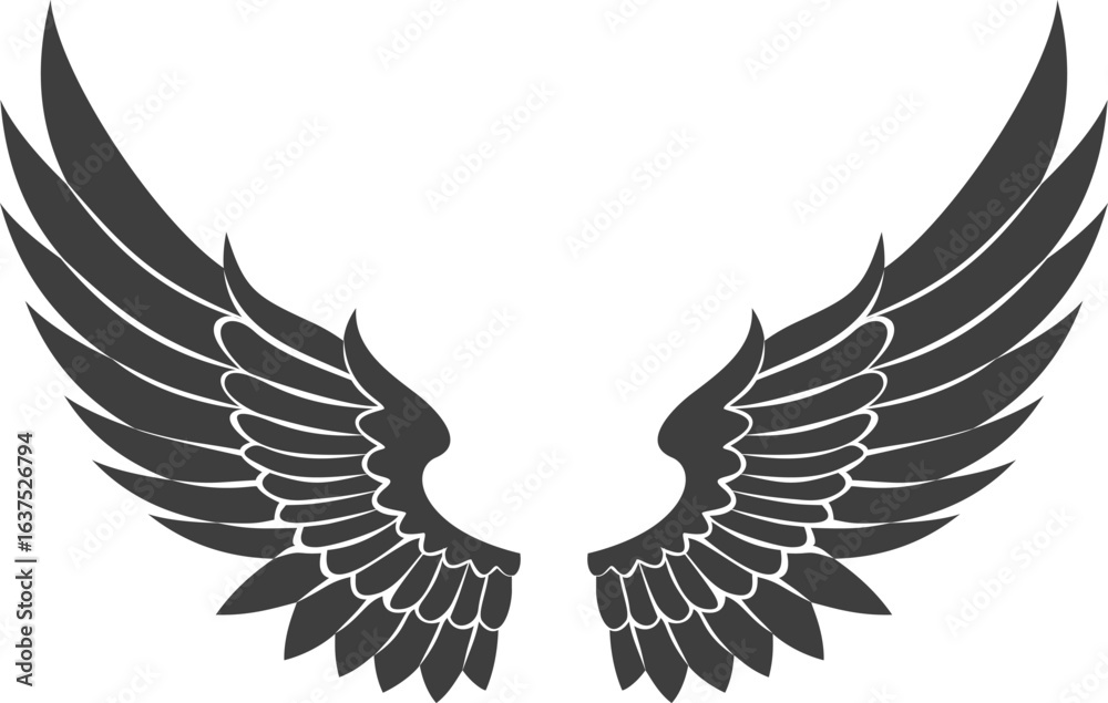 Obraz premium vector illustration of black wings