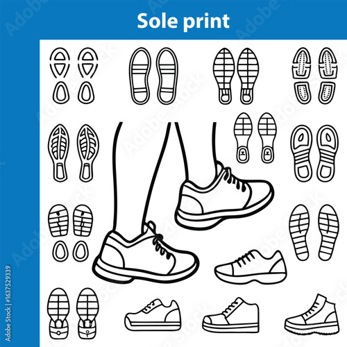 Sole Print A Collection of Footwear Designs and Styles