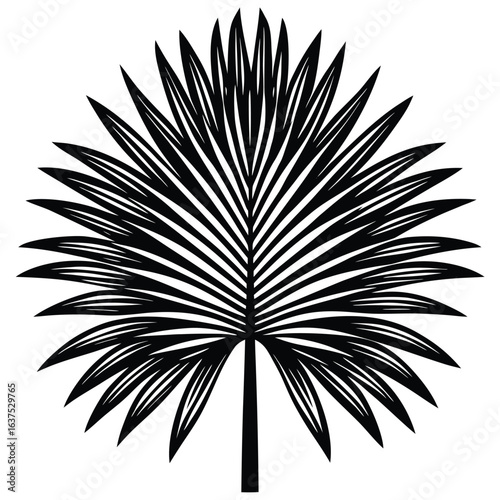 palm frond vector icon
