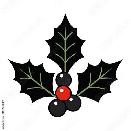 holly berries on a white background