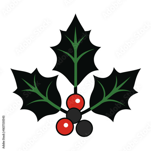 holly berries on white background