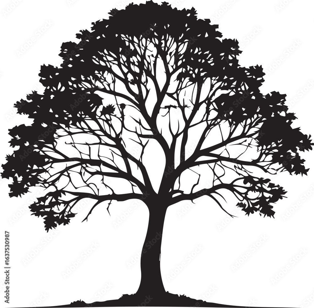 Obraz premium tree silhouette Vector | Minimalist & Trendy tree Silhouette Design | Unique & Stylish tree Artwork for Vector design