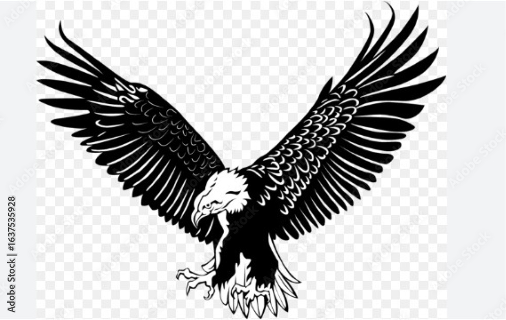 Obraz premium Majestic eagle in flight.