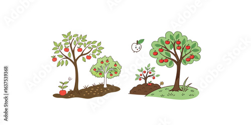 Print  Tree growth cycle. Agriculture growing plant, apple bush change. Isolated planting concept, cartoon garden fruits blossom. Germinating seed, garish vector scene