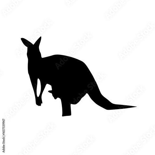 A timeless image, capturing the kangaroo's enduring spirit.
