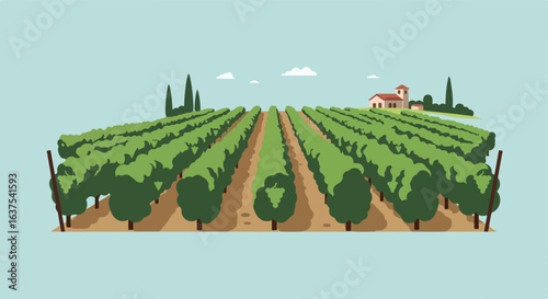 Vineyard Rows of green vines leading to building and tall trees under blue sky