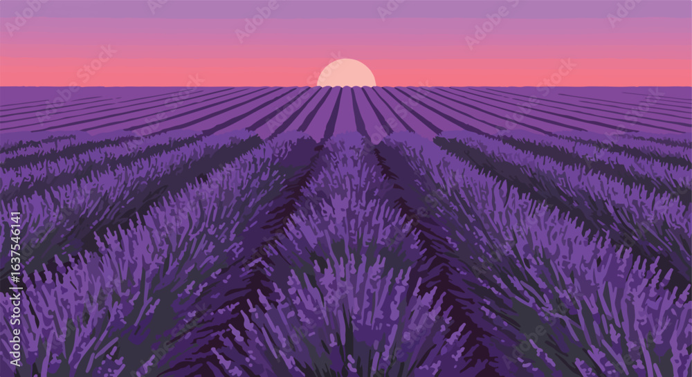Obraz premium Purple fields stretch into the pink sunrise, creating a peaceful scene