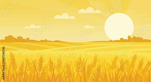 Golden field under the setting sun, with wheat crops and a few small clouds
