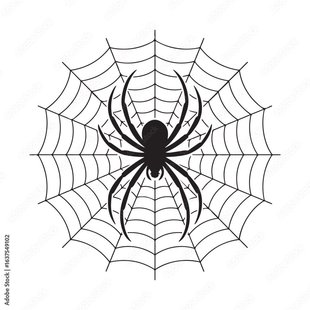 Obraz premium title Spider Silhouette on Web in Black and White