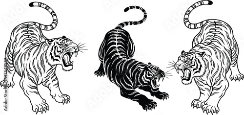 Fierce tiger illustration, roaring wild animal, black and white vector, tattoo design, predator art, jungle wildlife, graphic drawing, majestic beast