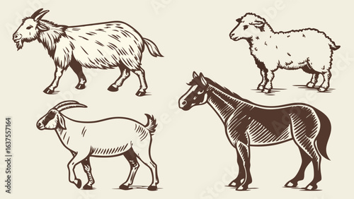 Vector Illustration of Farm Animals Goats Sheep and Horse.