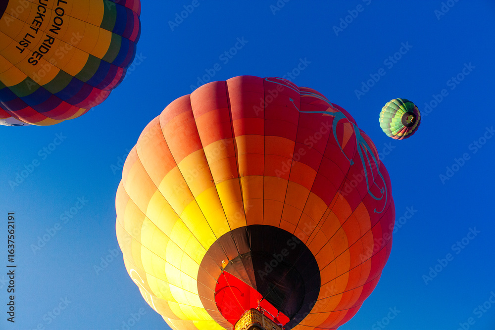 Obraz premium Landscape - Hot Air Balloons Above