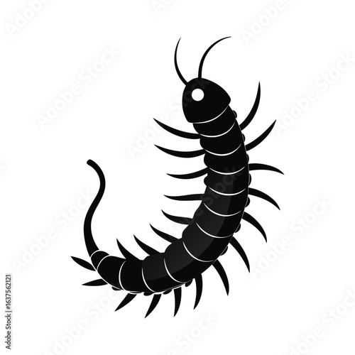 featuring a centipede icon of silhouette vector illustration