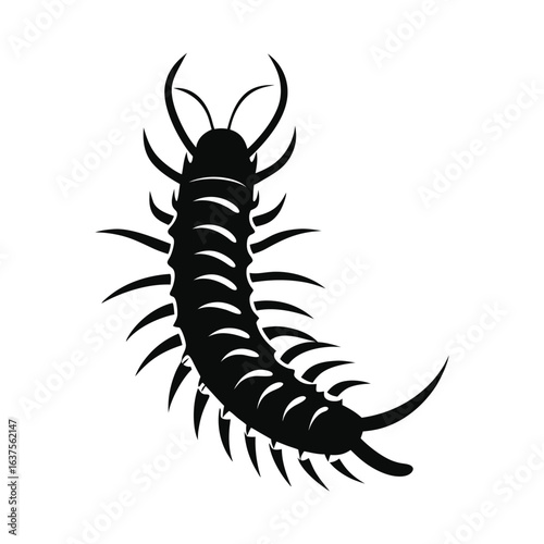featuring a centipede icon of silhouette vector illustration