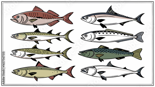 Collection of Colorful and Detailed Fish Illustrations.