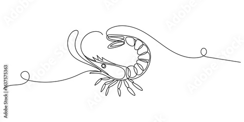 Shrimp continuous line drawing vector illustration