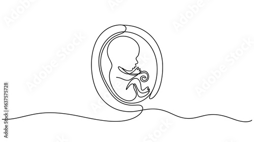 Fetus in womb continuous line drawing vector illustration