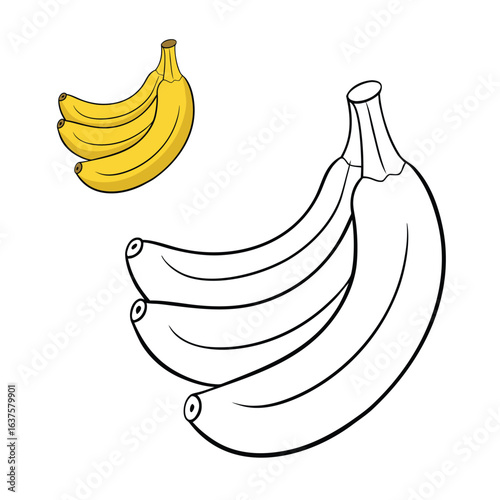 Plantains are starchy, banana-like fruits often cooked before eating. Popular in tropical cuisines, they’re great fried, boiled, or baked for savory or sweet dishes.

