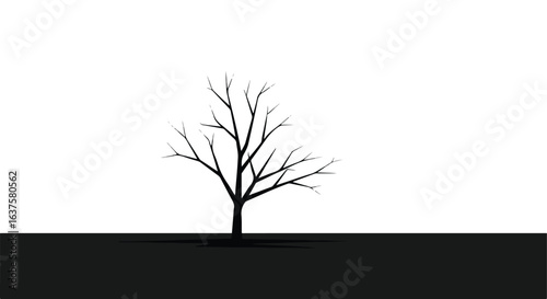 Silhouette of a leafless tree stands alone against a bright white background