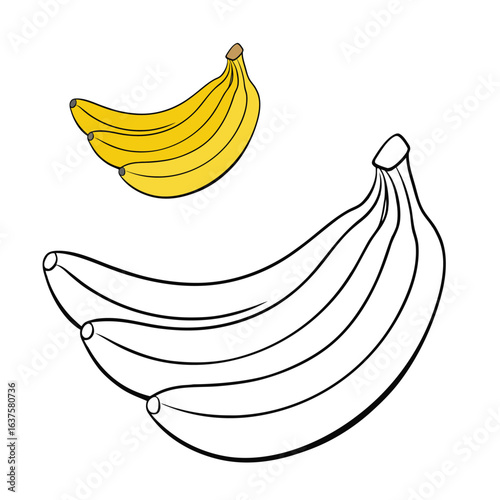 Plantains are starchy, banana-like fruits often cooked before eating. Popular in tropical cuisines, they’re great fried, boiled, or baked for savory or sweet dishes.
