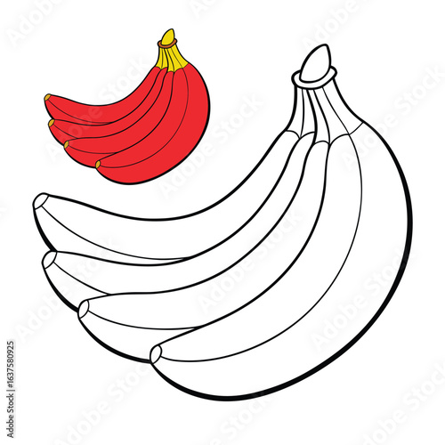 Red bananas are a sweet, creamy fruit with reddish-purple skin. Smaller and softer than yellow bananas, they’re rich in vitamins and perfect for snacking or smoothies.
