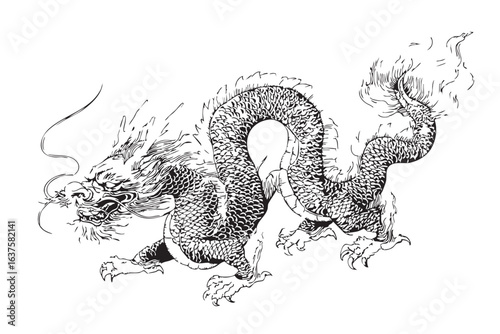 Black and white line art of a fierce Asian dragon with a serpentine body detailed scales sharp claws and a flaming tail