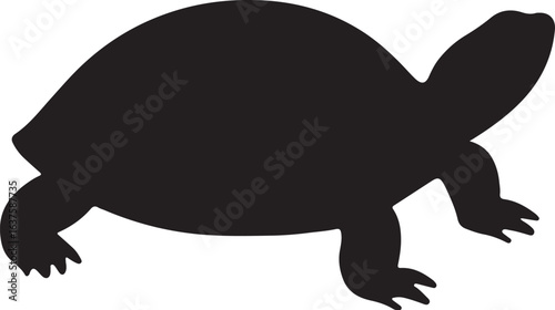 Abstract geometric pond slider design with vibrant colors