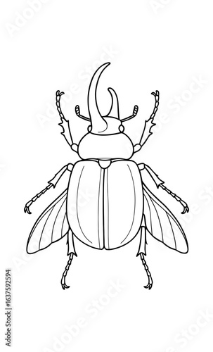 Detailed line art of rhinoceros beetle with intricate features and horns
