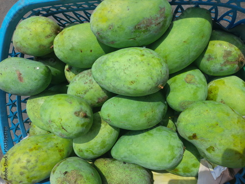 pile of fresh green mangoes that have just been harvested