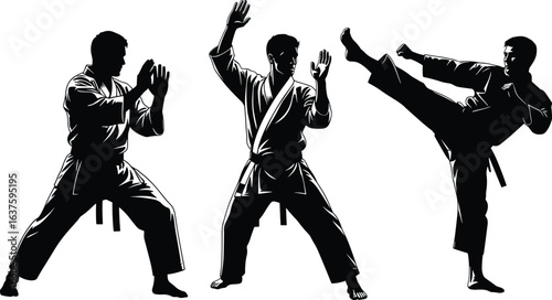 Karate poses illustration, martial arts training, defensive stance, high kick, ready position, karate uniform, combat technique, dojo practice, athletic movement, discipline art