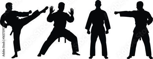 Martial arts silhouettes, high kick, punch pose, defensive stance, training positions, combat techniques, discipline, motion, self-defense, action