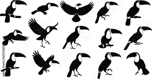 Toucan silhouettes collection, tropical bird poses, flying toucan shapes, perched bird outlines, large beak profile, exotic wildlife illustration