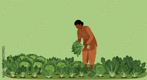 Harvest time in the fields, a farmer is collecting the produce from their crops