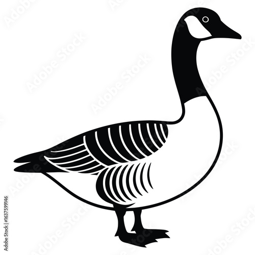 goose isolated on white background