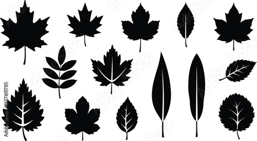 Black Leaf Silhouette Vector Set – Decorative Foliage Icons Collection

