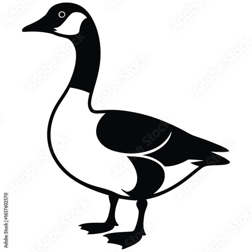 geese