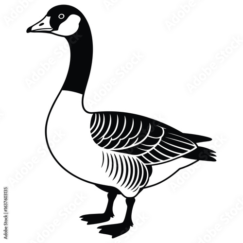 goose isolated on white background