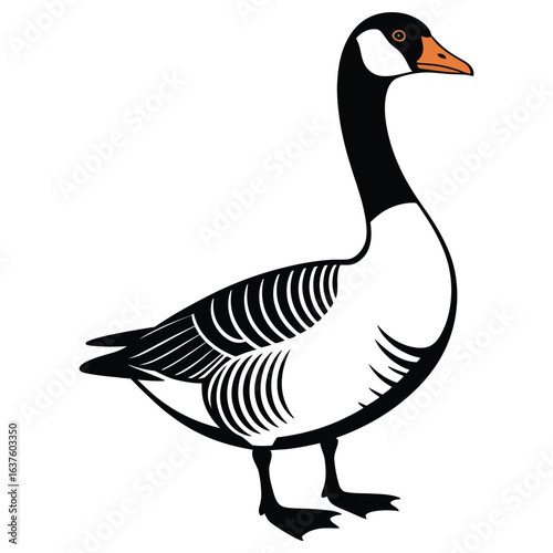 goose on white background