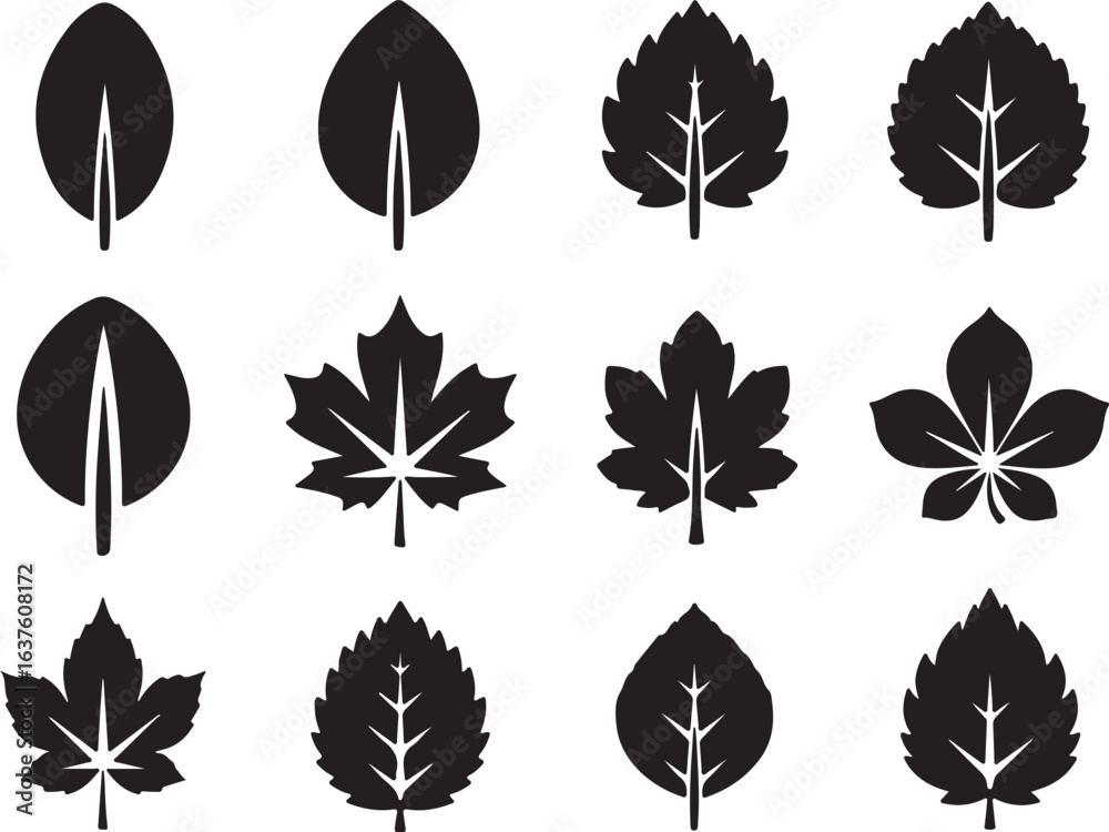 Obraz premium Collection of various leaf icons and silhouettes isolated on white background