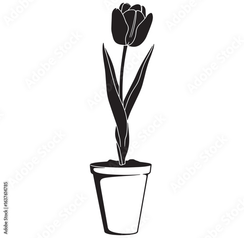Elegant black and white vector illustration of a tulip planted in a simple pot