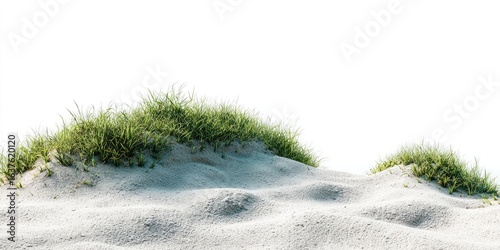 Sandy dunes covered in short green grass against a white background